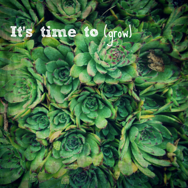 Time to Grow