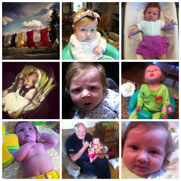 PicMonkey Collage