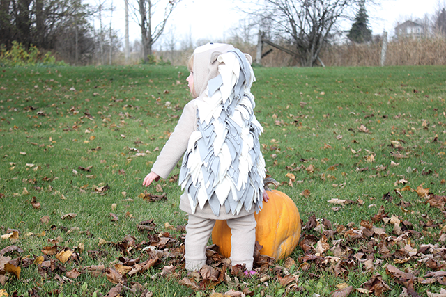 A Halloween Hedgehog